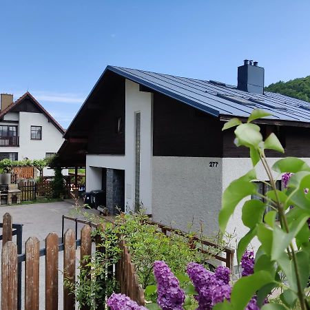 Ubytování - Černá hora II Svoboda nad Úpou Exterior foto