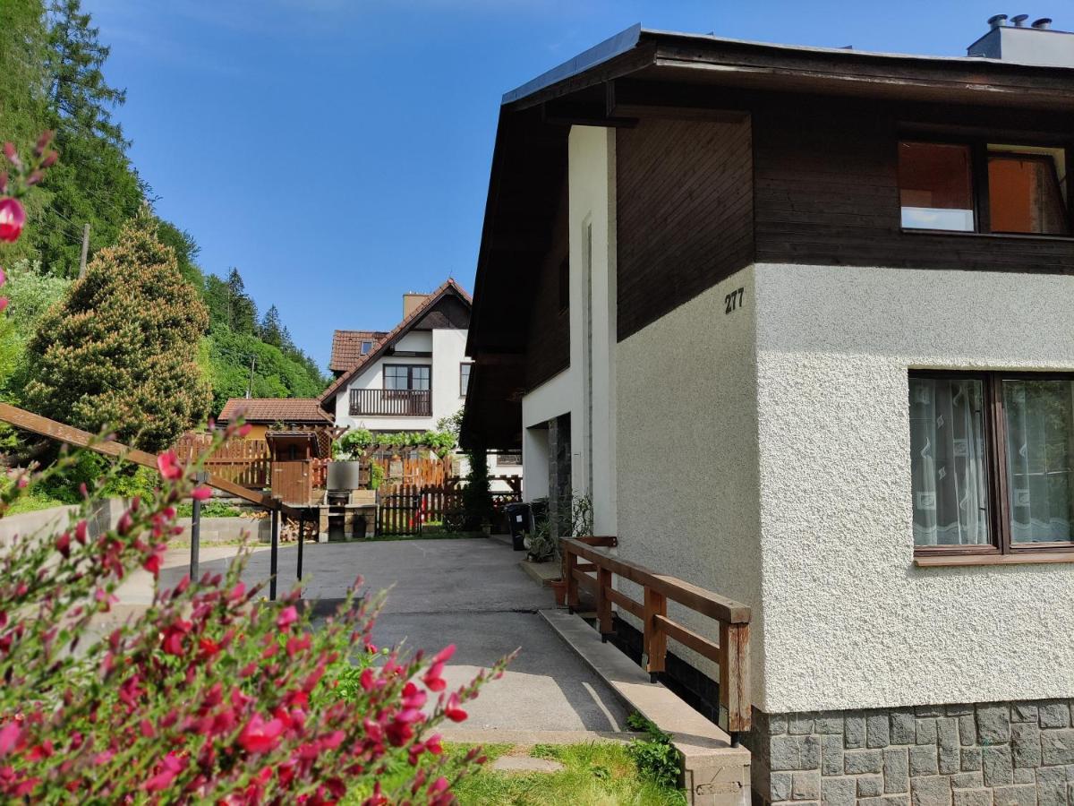 Ubytování - Černá hora II Svoboda nad Úpou Exterior foto