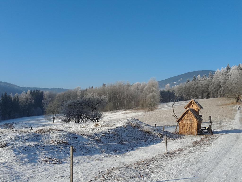 Ubytování - Černá hora II Svoboda nad Úpou Exterior foto