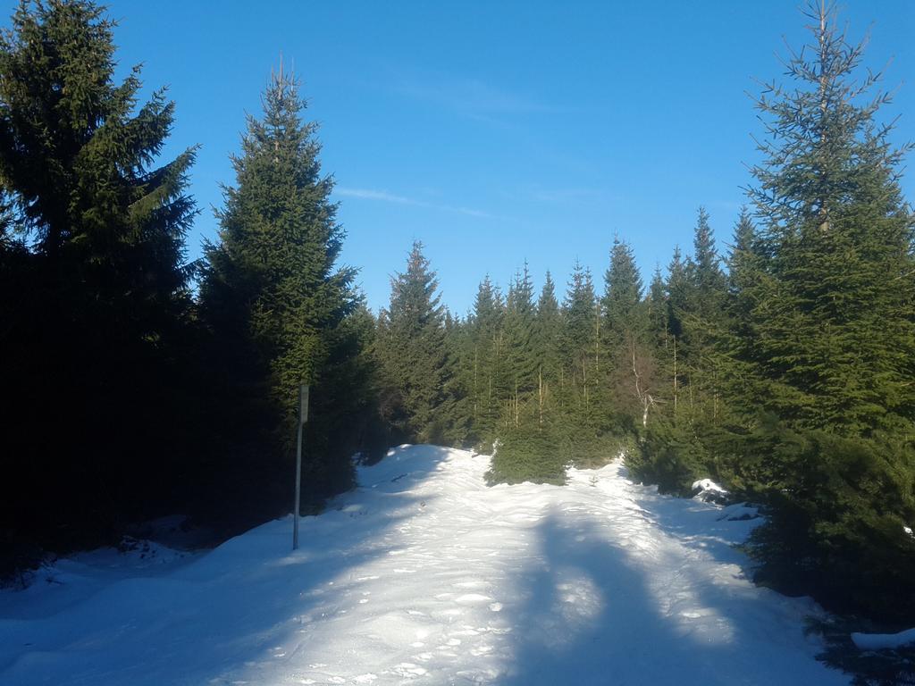 Ubytování - Černá hora II Svoboda nad Úpou Exterior foto