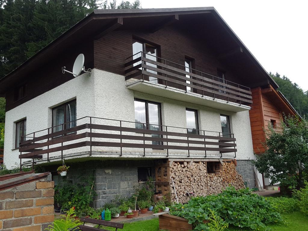 Ubytování - Černá hora II Svoboda nad Úpou Exterior foto