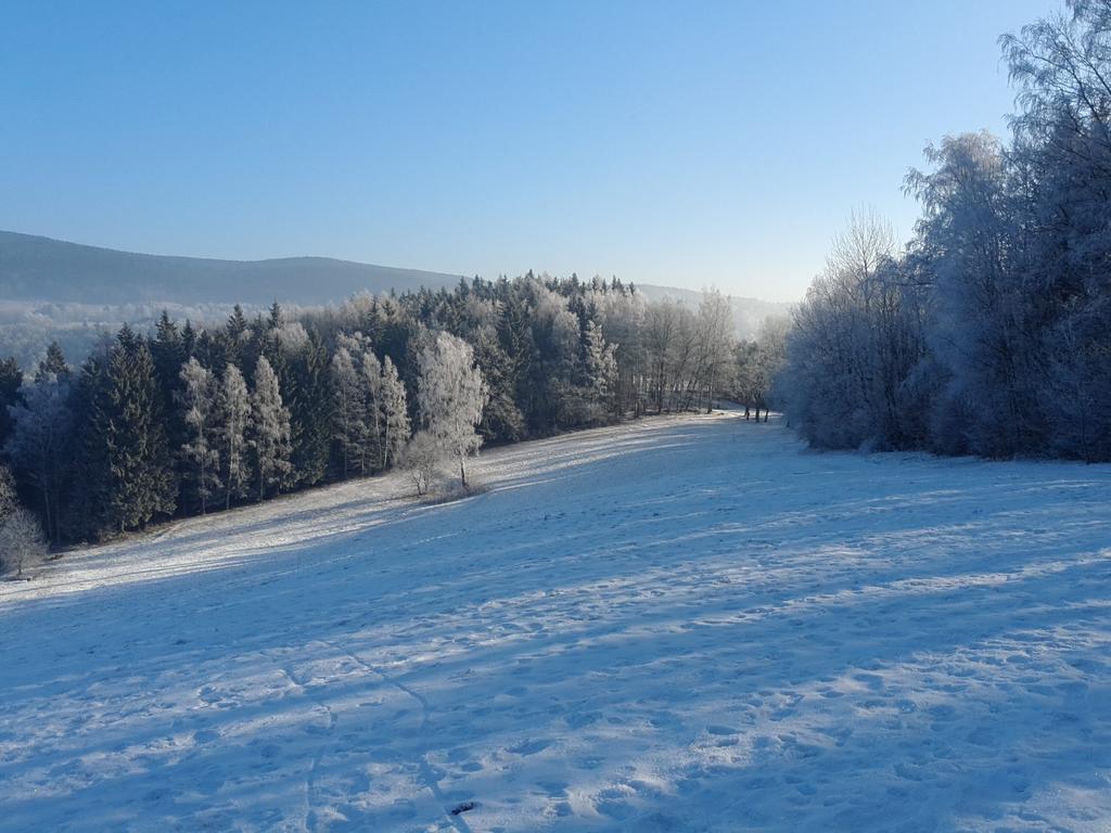 Ubytování - Černá hora II Svoboda nad Úpou Exterior foto